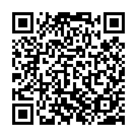 QR code for plate YZG 400
