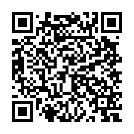 QR code for plate YZJ 061