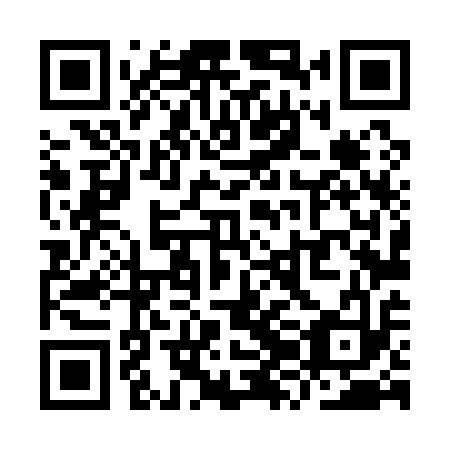 QR code for YZL113