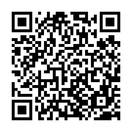 QR code for plate YZL 656