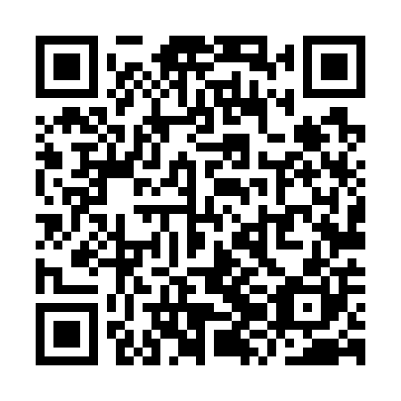 QR code for plate YZL 700