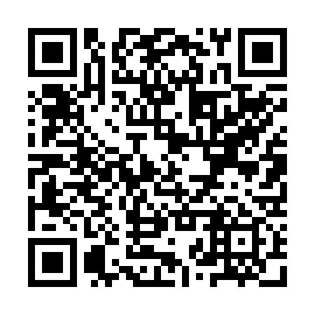 QR code for YZT 239