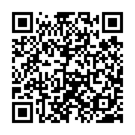 QR code for YZT 691