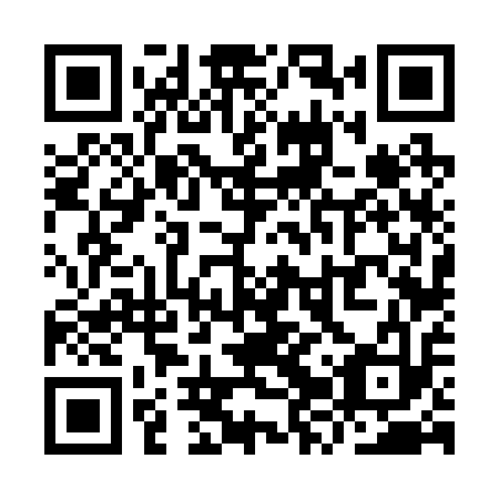 QR code for YZV 213