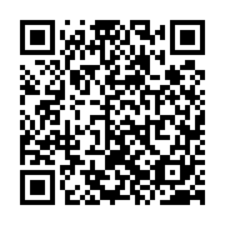 QR code for plate YZV 561