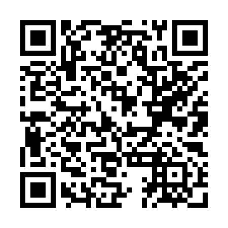 QR code for ZAN 991