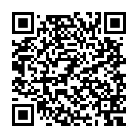 QR code for ZAR 599