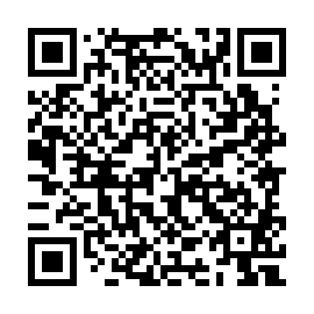 QR code for ZAX381