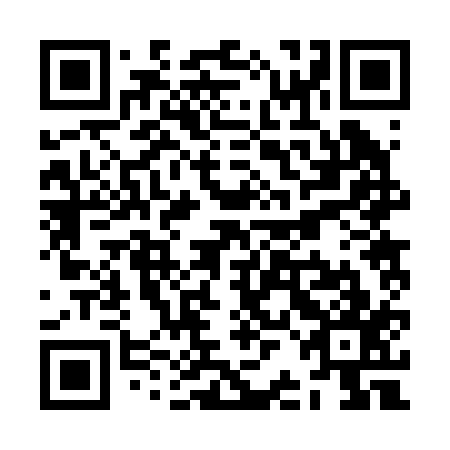 QR code for ZBB 217