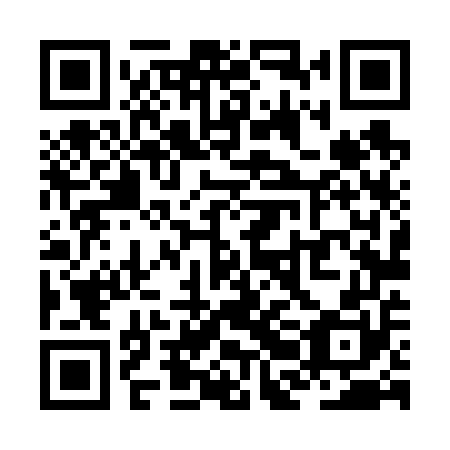QR code for plate ZBL 650
