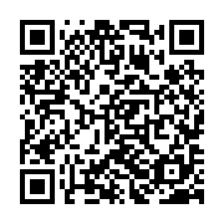 QR code for plate ZBN 295