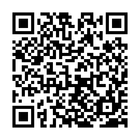 QR code for ZCG 294