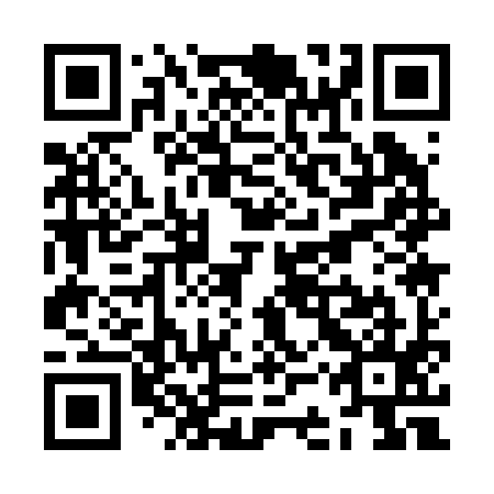 QR code for ZCQ 295