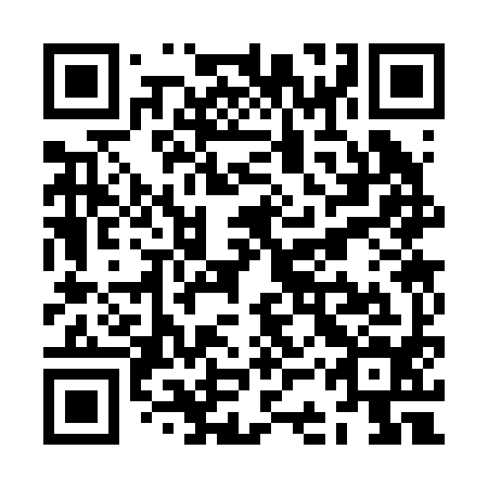 QR code for ZCS 294