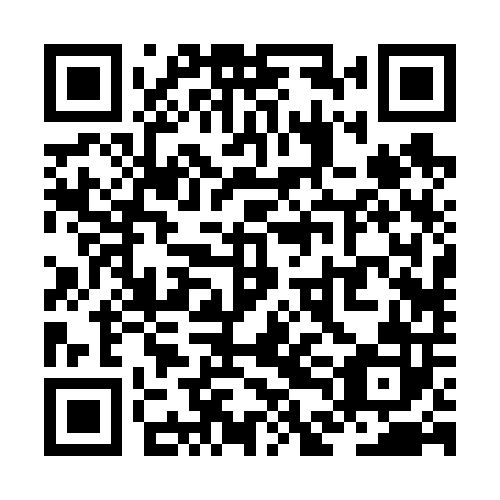 QR code for ZDB 602