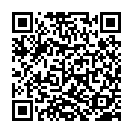 QR code for ZDI209