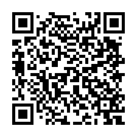 QR code for plate ZDI 453