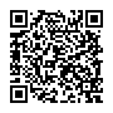 QR code for ZDL 599
