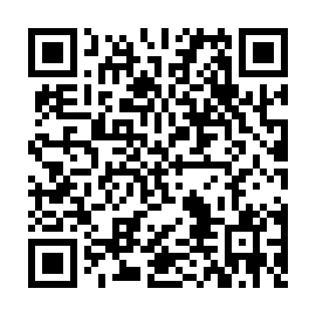 QR code for ZDM 101