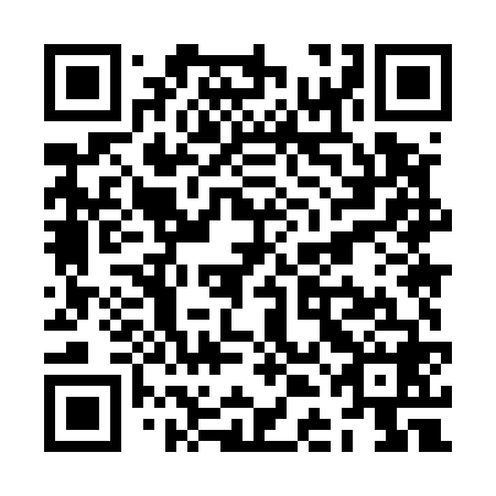 QR code for ZDM 568