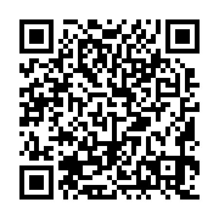 QR code for ZDM271