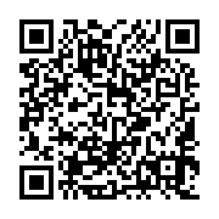 QR code for ZDM955