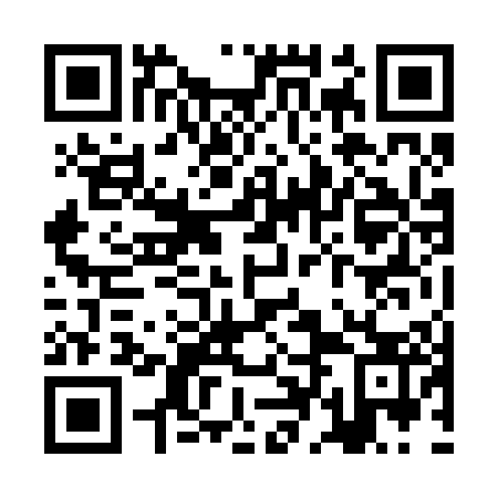 QR code for ZDN 203