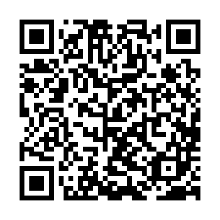 QR code for ZDP 383