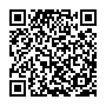 QR code for ZDP 595