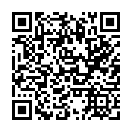 QR code for plate ZDT 163