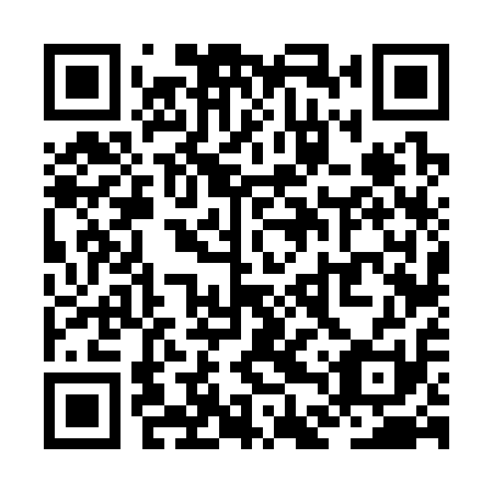 QR code for plate ZDV 311