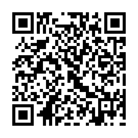 QR code for ZDZ951