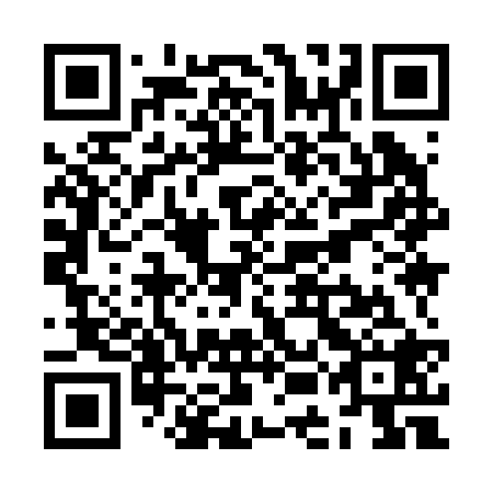 QR code for ZEI 228