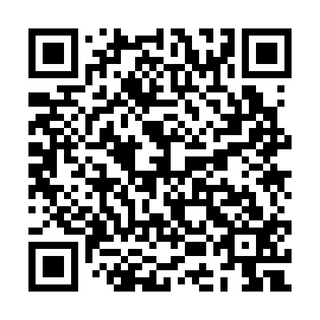 QR code for ZEK 313