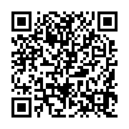 QR code for ZEY 295
