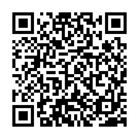 QR code for ZFK313