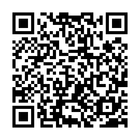QR code for ZFL 575