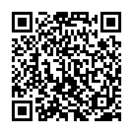 QR code for plate ZFU 393