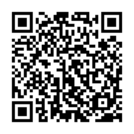 QR code for ZFZ 595