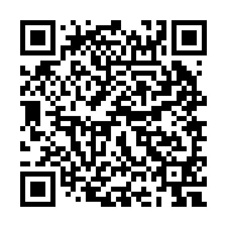 QR code for ZGJ 290