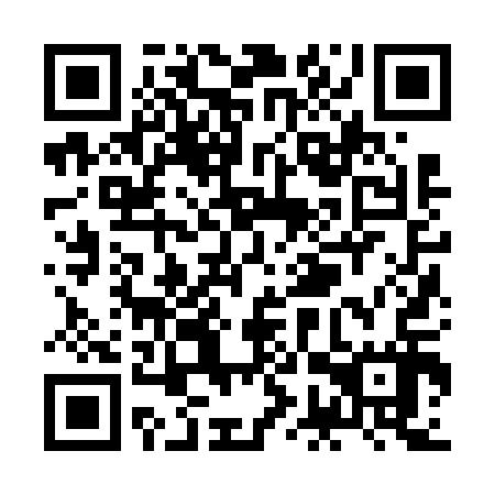 QR code for ZGZ 617