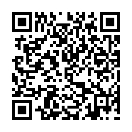 QR code for ZHN 370