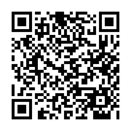 QR code for ZHP387