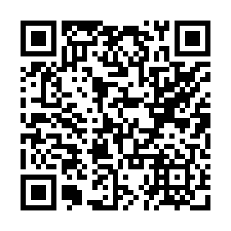 QR code for ZHP809