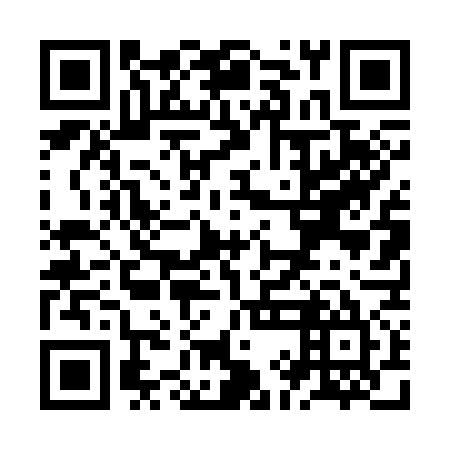 QR code for ZID 375