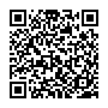 QR code for plate ZIE 323