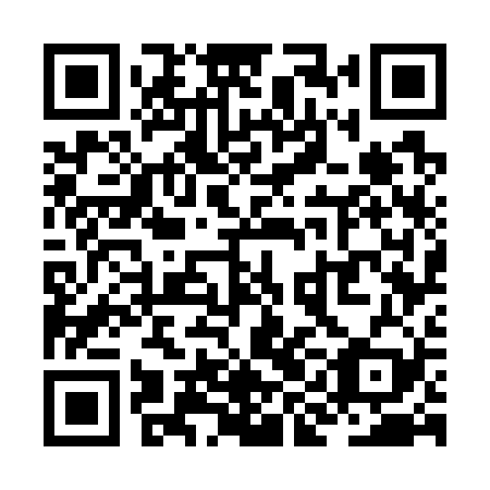 QR code for ZIG 729