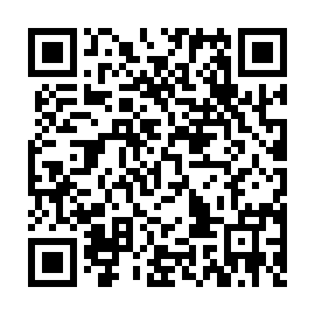 QR code for plate ZIN 195