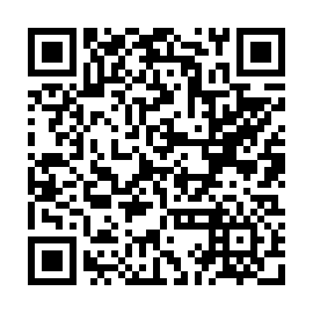 QR code for ZIN636