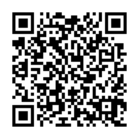 QR code for plate ZIN 745